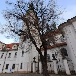 Church of the Assumption of the Virgin Mary - Nymburk