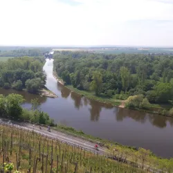 Elbe River Promenade - Nymburk