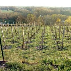 Elbe River Promenade - Nymburk