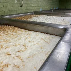 Nymburk Brewery (Pivovar Nymburk) - Nymburk