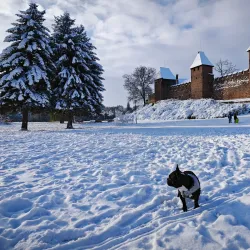 Park Poděbradská - Nymburk