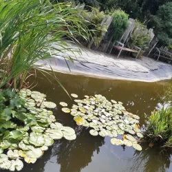 Botanical Garden of Olomouc - Olomouc