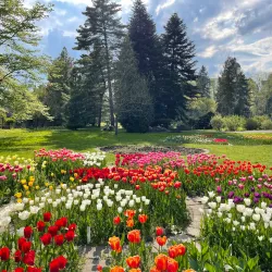 Botanical Garden of Olomouc - Olomouc