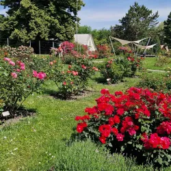 Botanical Garden of Olomouc - Olomouc