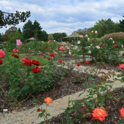 Botanical Garden of Olomouc - Olomouc