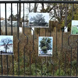 Botanical Garden of Palacký University - Olomouc