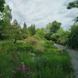 Botanical Garden of Palacký University - Olomouc