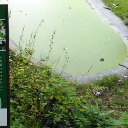 Botanical Garden of Palacký University - Olomouc