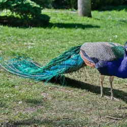 Botanical Garden of Palacký University - Olomouc