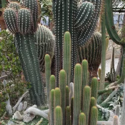 Botanical Garden of Palacký University - Olomouc