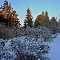 Botanical Garden of Palacký University - Olomouc