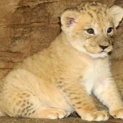 Olomouc Zoo - Olomouc