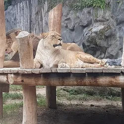 Olomouc Zoo - Olomouc