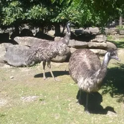 Olomouc Zoo - Olomouc