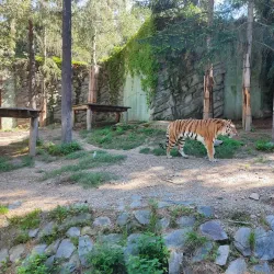 Olomouc Zoo - Olomouc