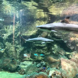 Olomouc Zoo - Olomouc