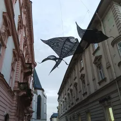 Upper Square (Horní náměstí) - Olomouc