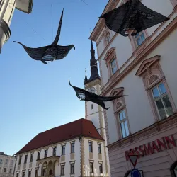 Upper Square (Horní náměstí) - Olomouc