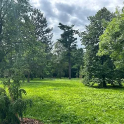 Opava City Park (Městský park) - Opava