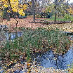 Opava City Park (Městský park) - Opava