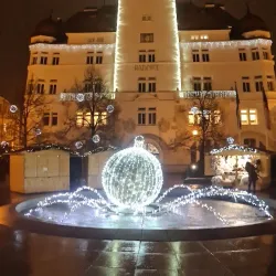 Opava Town Hall - Opava