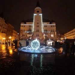 Opava Town Hall - Opava