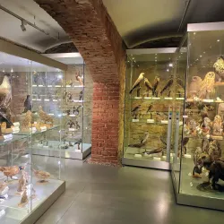 Silesian Museum - Opava