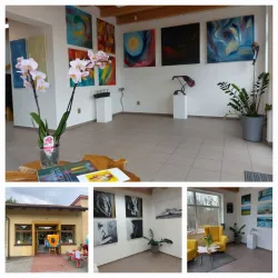 Local Art Galleries - Orlová