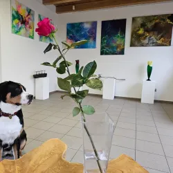 Local Art Galleries - Orlová