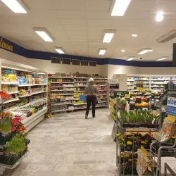 Local Markets and Shops - Orlová