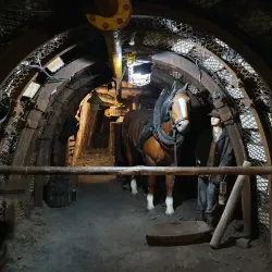 Mining Museum Orlová - Orlová