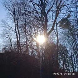 Orlová Town Park - Orlová