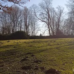 Orlová Town Park - Orlová