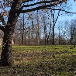 Orlová Town Park - Orlová