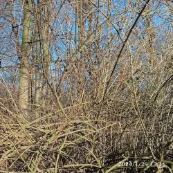 Orlová Town Park - Orlová