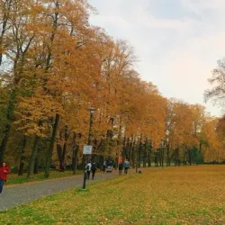 Komenského Sady Park - Ostrava