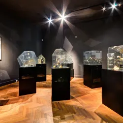 Ostrava Museum - Ostrava