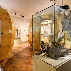 Ostrava Museum - Ostrava