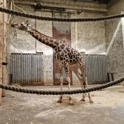 Ostrava Zoo - Ostrava