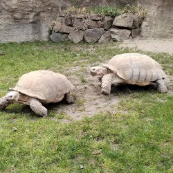 Ostrava Zoo - Ostrava