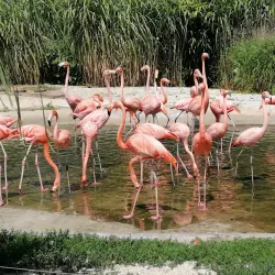 Ostrava Zoo - Ostrava