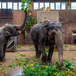 Ostrava Zoo - Ostrava