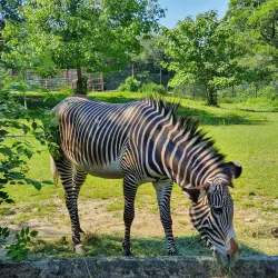 Ostrava Zoo - Ostrava