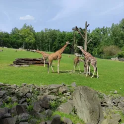 Ostrava Zoo - Ostrava
