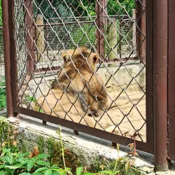 Ostrava Zoo - Ostrava