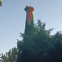 Lázně Bohdaneč Spa - Pardubice