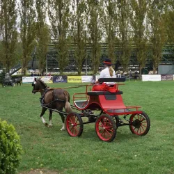 Velká Pardubická Racecourse - Pardubice