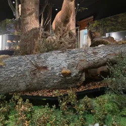 South Bohemian Museum in Pisek - Pisek