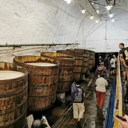 Pilsner Urquell Brewery - Plzen