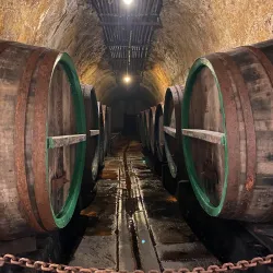 Pilsner Urquell Brewery - Plzen